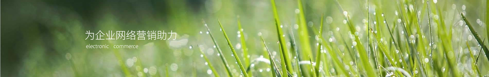 ֣ҬƼ޹˾